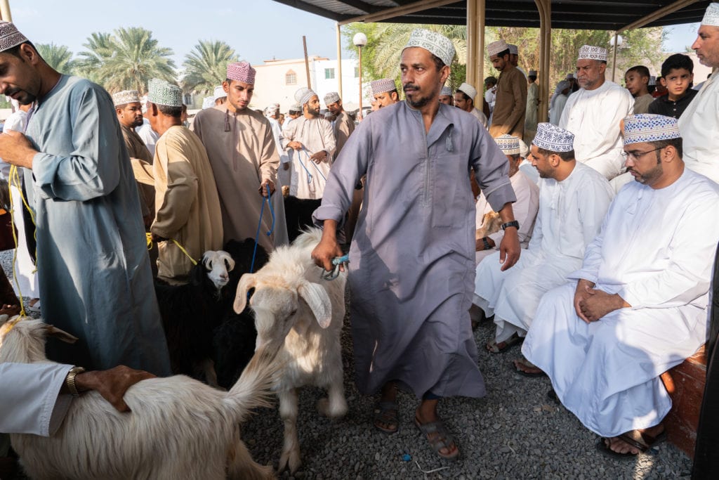 The goat market in Nizwa, Oman