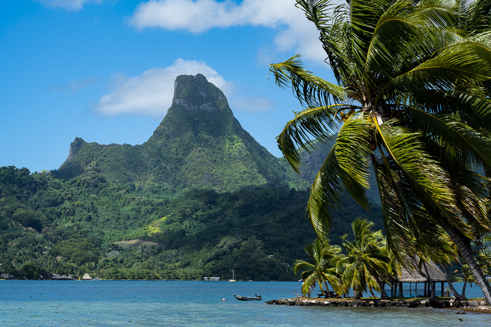 Cook's Bay, Moorea, Polynesia © 2013 Charles and Mary Love
