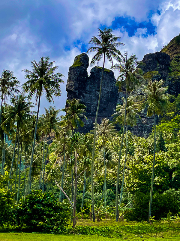 Phallic-shaped basaltic pillar, Bay of Virgins, Fatu Hiva, Marquesas © 2022 Charles & Mary Love