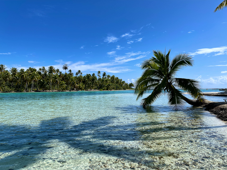 Palm-lined beach, Motu, French Polynesia © 2022 Charles & Mary Love